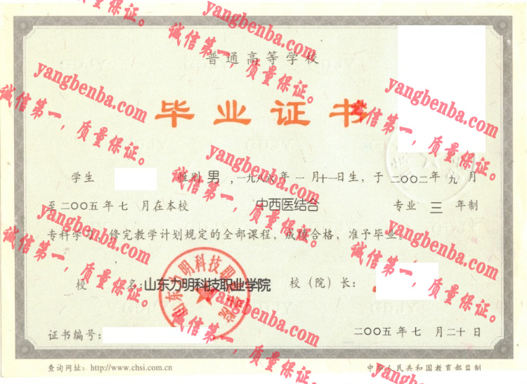 山东力明科技职业学院毕业证样本