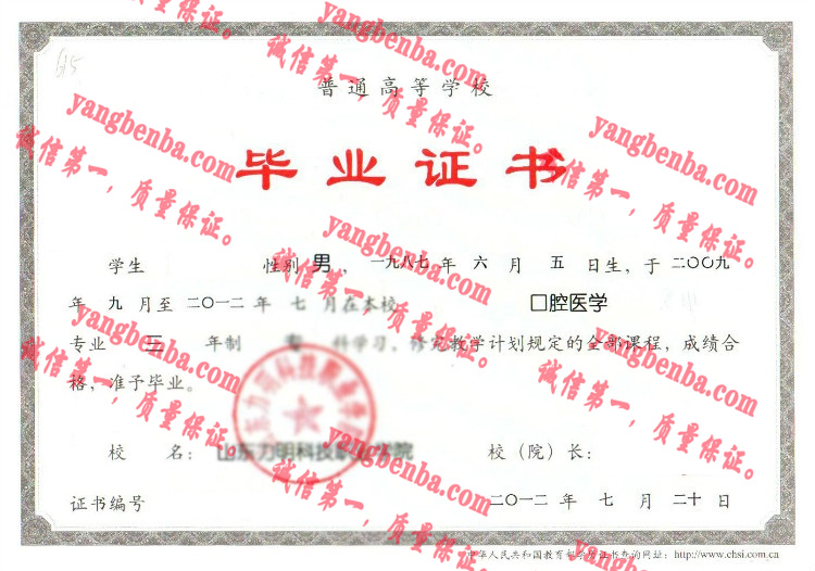 山东力明科技职业学院毕业证样本