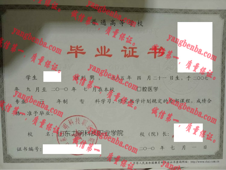 山东力明科技职业学院毕业证样本