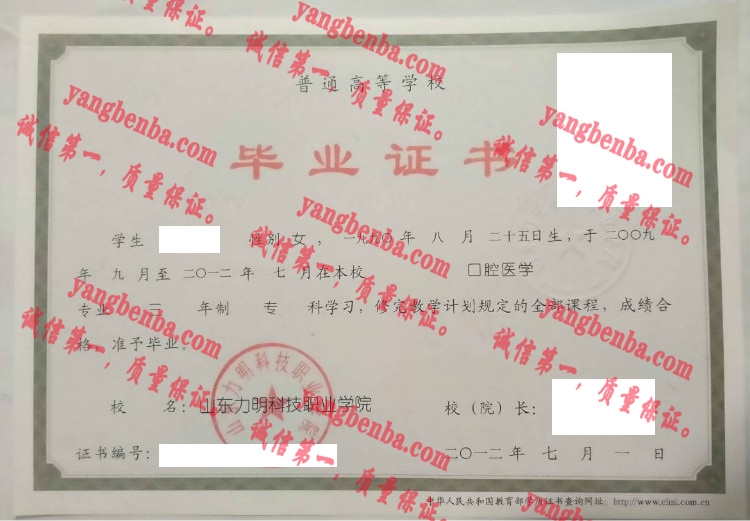 山东力明科技职业学院毕业证样本