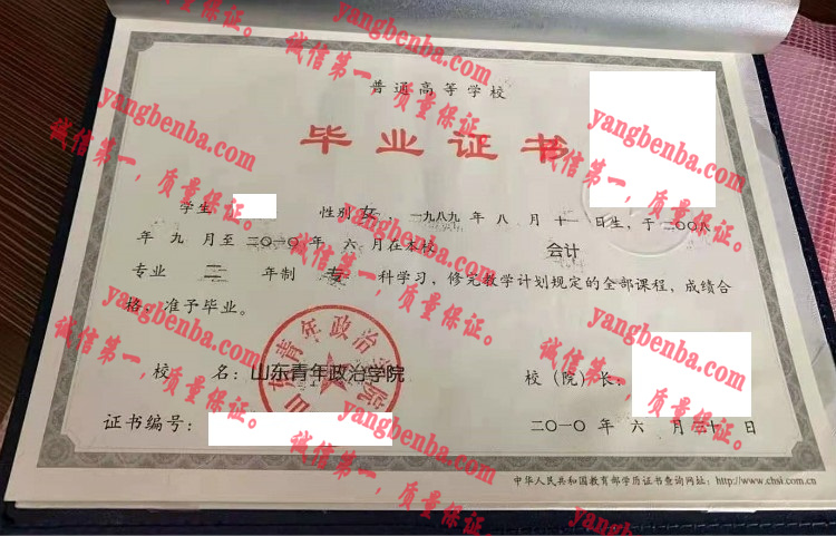 山东青年政治学院毕业证样本