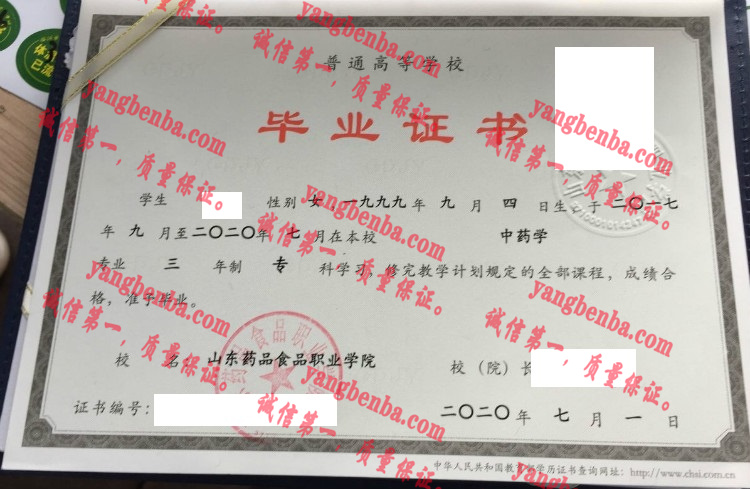 山东药品食品职业学院毕业证样本