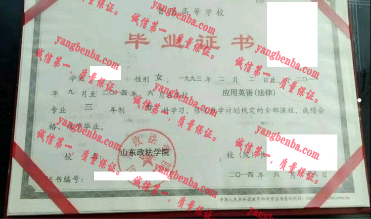 山东政法学院毕业证样本