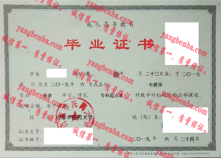 山东中医药大学毕业证样本