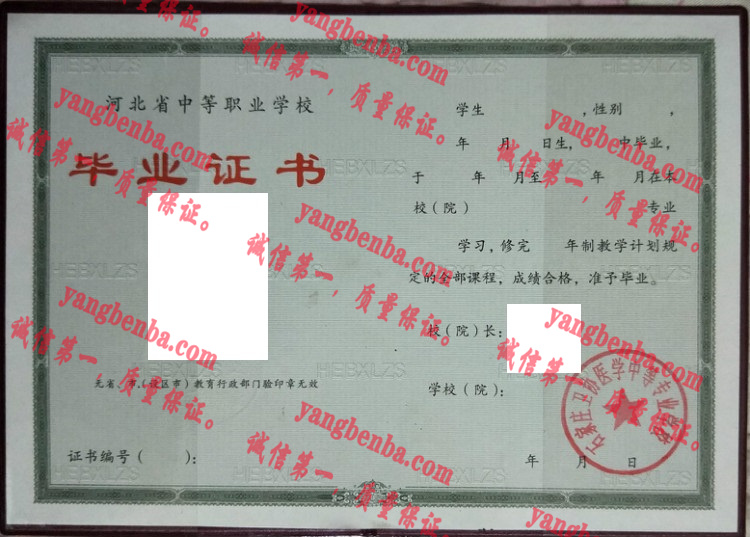 石家庄卫协医学中等专业学校毕业证样本