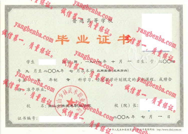 嵩山少林武术职业学院毕业证样本