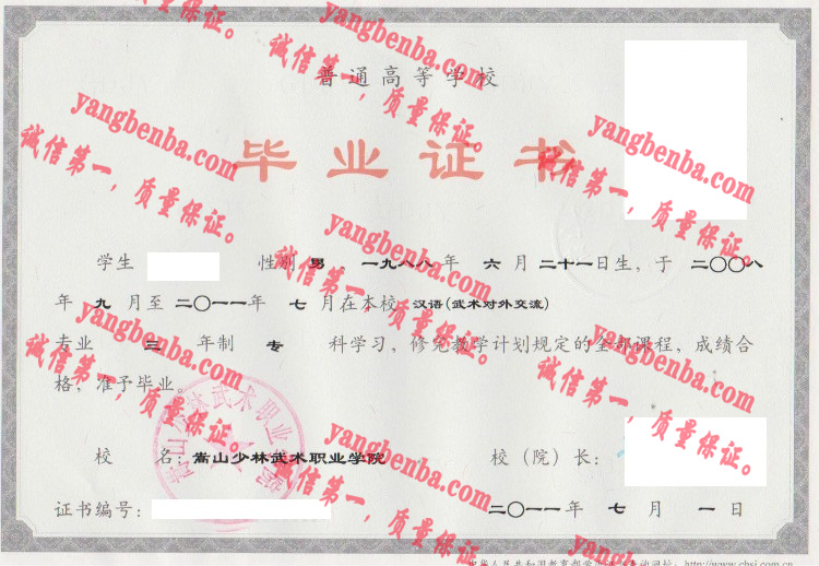 嵩山少林武术职业学院毕业证样本