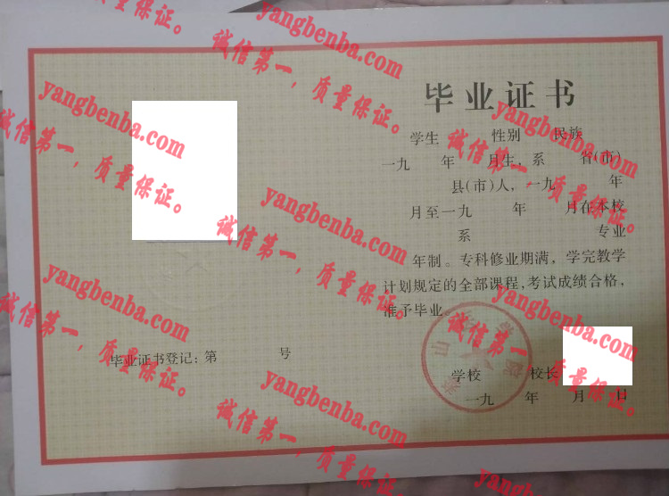 泰山医学院毕业证样本