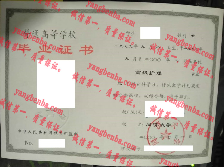 同济大学毕业证样本