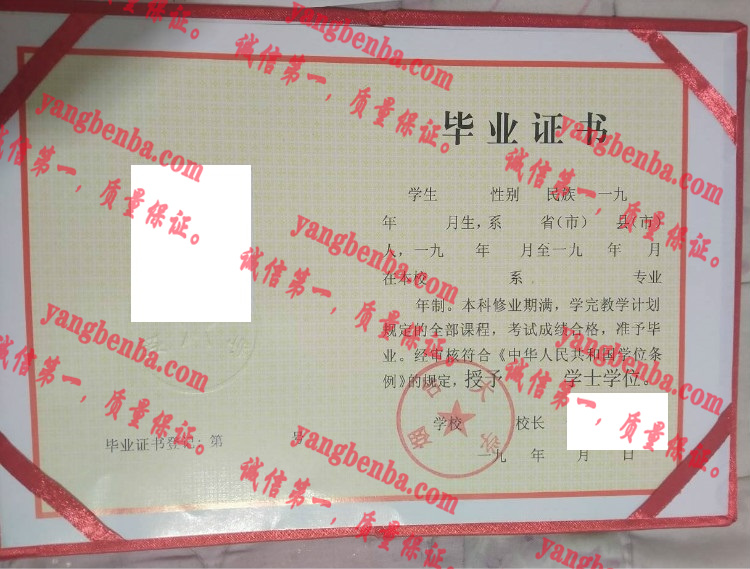 烟台大学毕业证样本