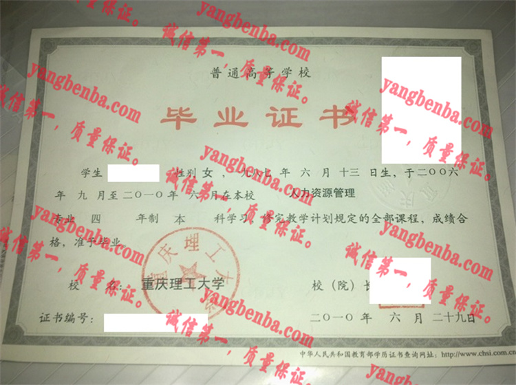 重庆理工大学毕业证样本