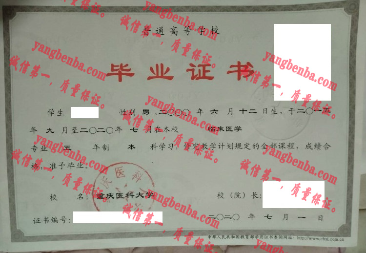 重庆医科大学毕业证样本