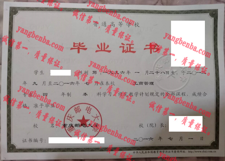 重庆邮电大学毕业证样本