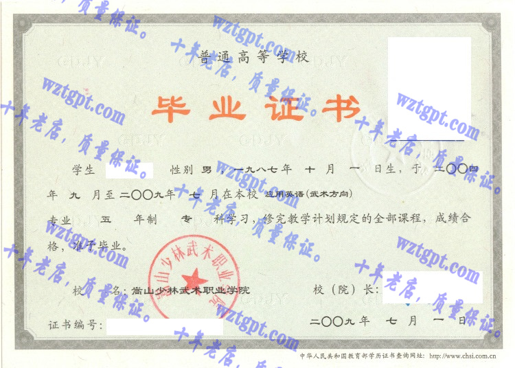 嵩山少林武术职业学院毕业证样本