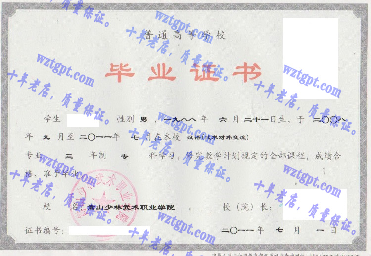 嵩山少林武术职业学院毕业证样本