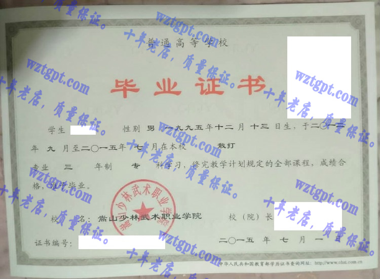 嵩山少林武术职业学院毕业证样本