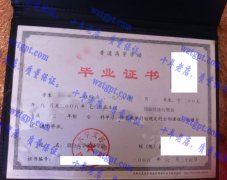 烟台大学文经学院毕业证样本