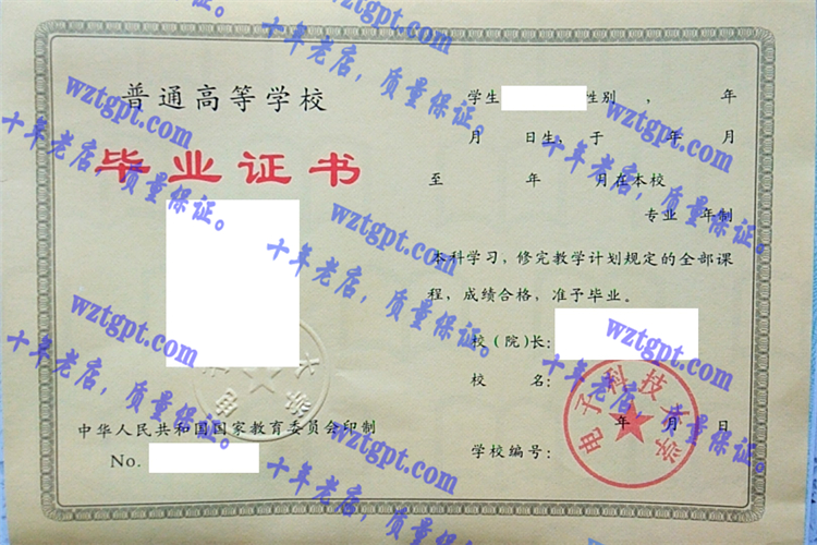 电子科技大学毕业证样本