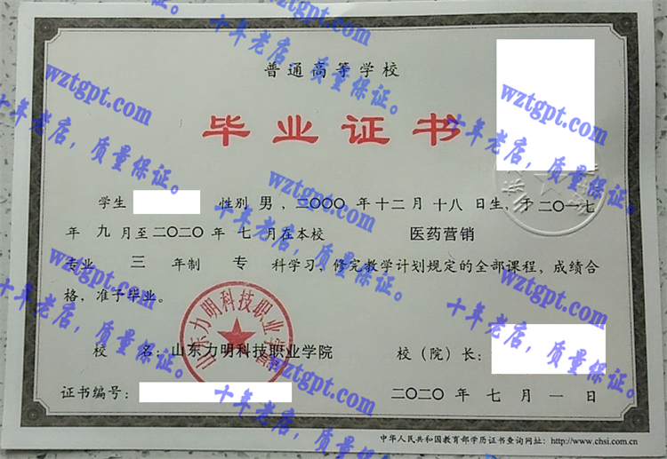 山东力明科技职业学院毕业证样本