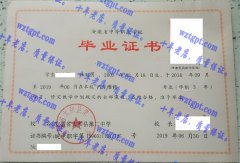 安徽省太和县第二中学毕业证样本