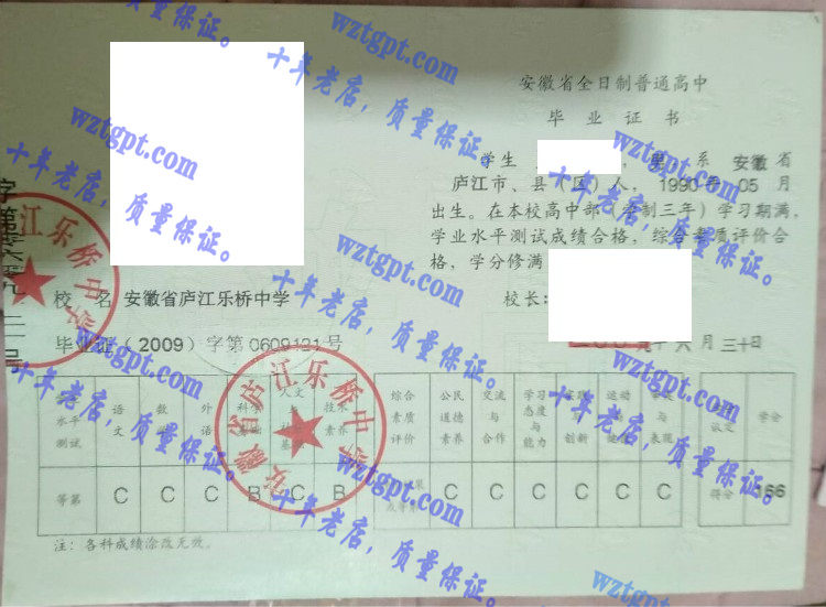 安徽省庐江乐桥中学毕业证样本