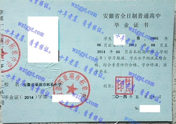 安徽省巢湖市柘皋中学毕业证样本