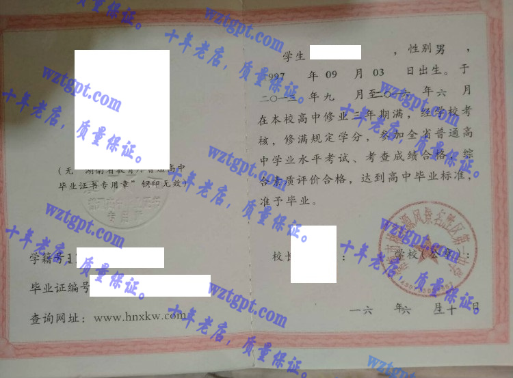 常德市桃花源风景名胜区第一中学毕业证样本