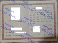 洞口县第二中学毕业证样本