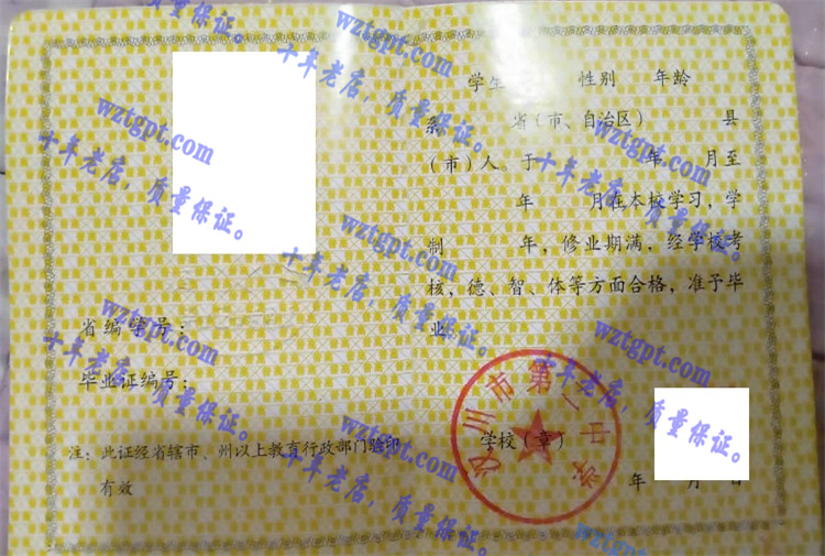 汉川市第二中学毕业证样本