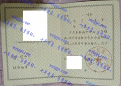 湖南省澧县第二中学毕业证样本