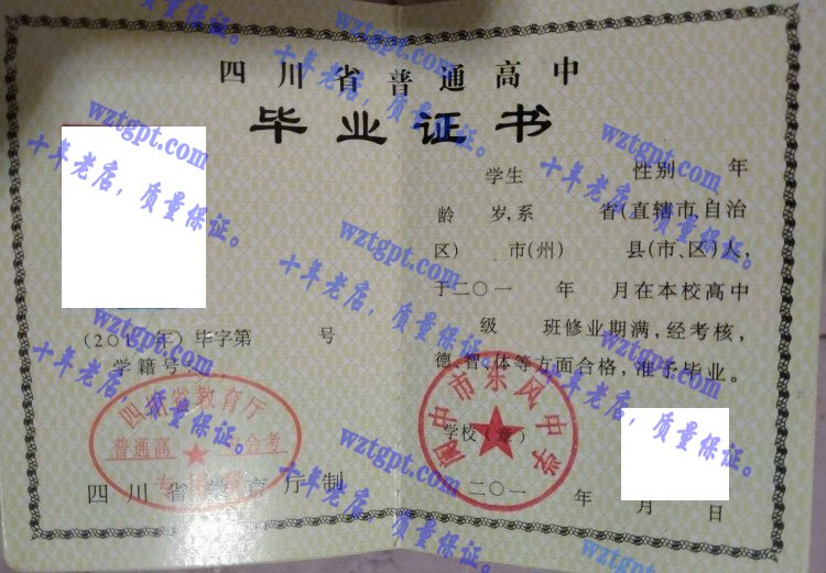 阆中市东风中学毕业证样本