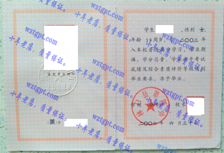 林口县第四中学毕业证样本