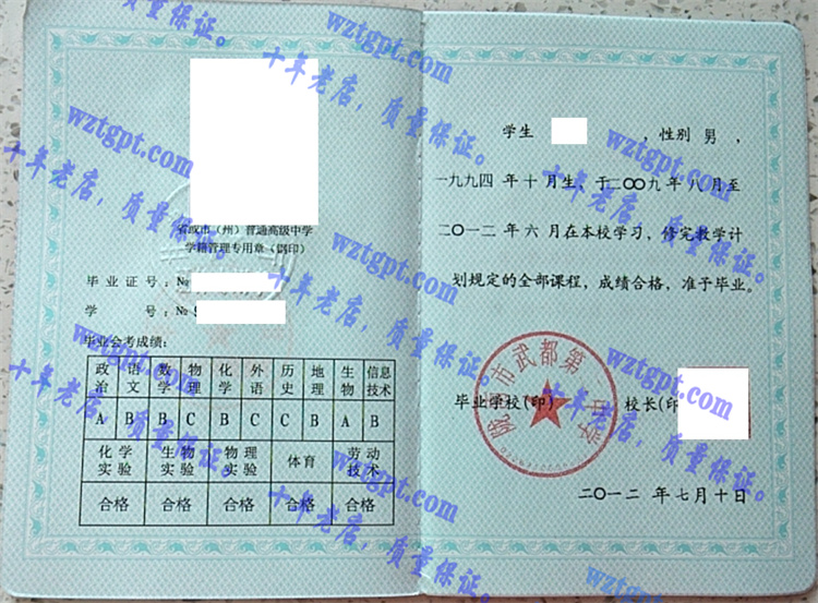 陇南市武都第二中学毕业证样本