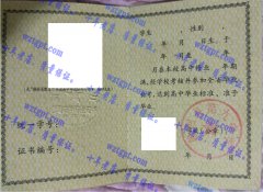 隆回县第九中学毕业证样本