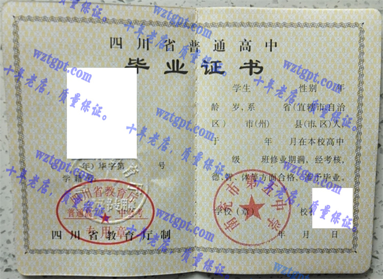 南充市第五中学毕业证样本