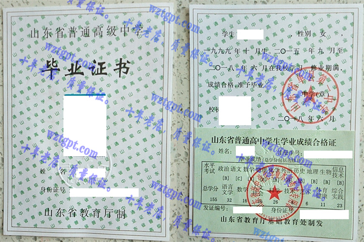 山东省单县第一中学毕业证样本