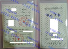 山东省莱州市第一中学毕业证样本