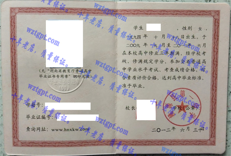 桃源县第一中学毕业证样本