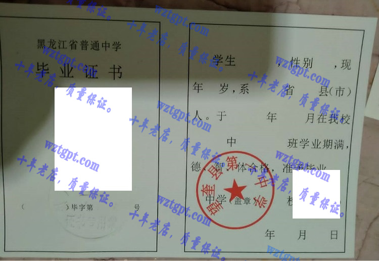 望奎县第一中学毕业证样本