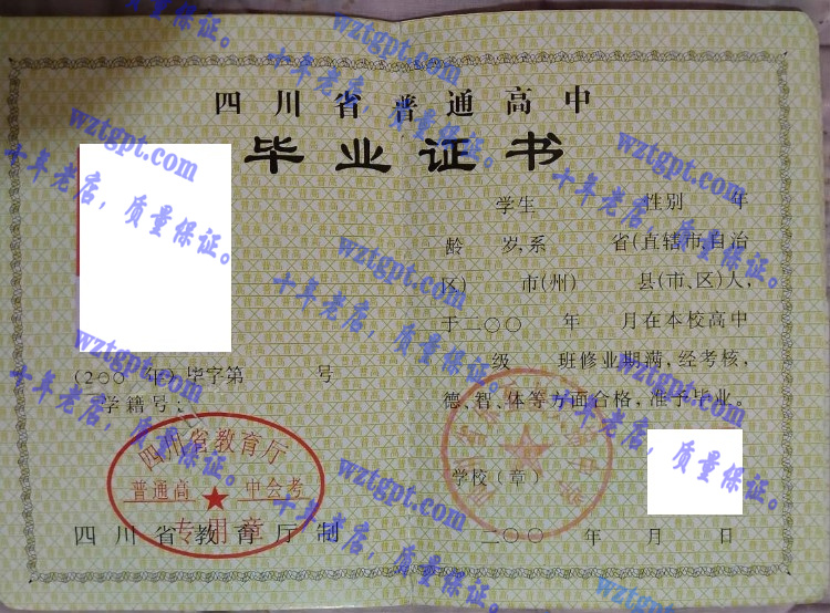 四川省乐至县大佛中学毕业证样本