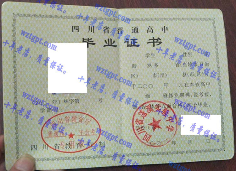 四川省蓬溪实验中学毕业证样本