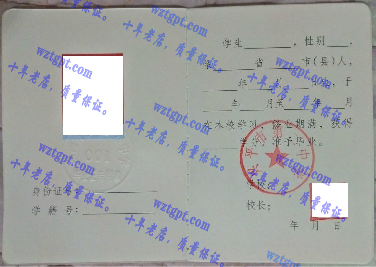 兴平市第二中学毕业证样本