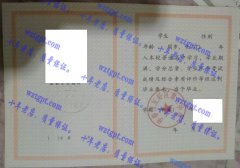 伊春市友好区第三中学毕业证样本