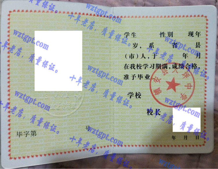 镇安县大坪中学毕业证样本