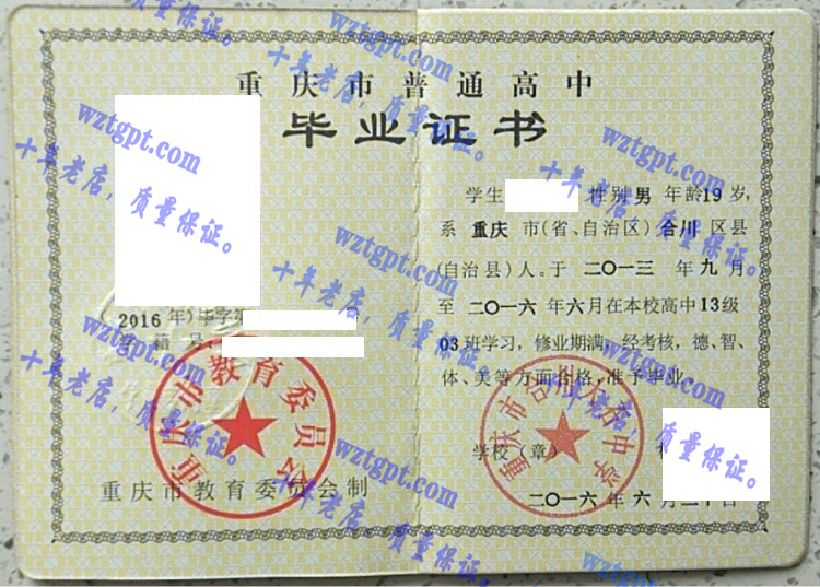 重庆市合川大石中学毕业证样本