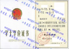 泰山医学院学士学位证书样本