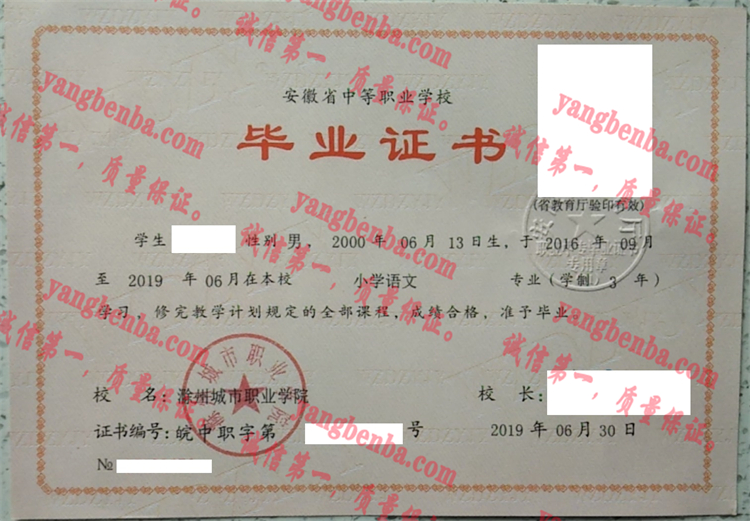 滁州城市职业学院毕毕业证样本