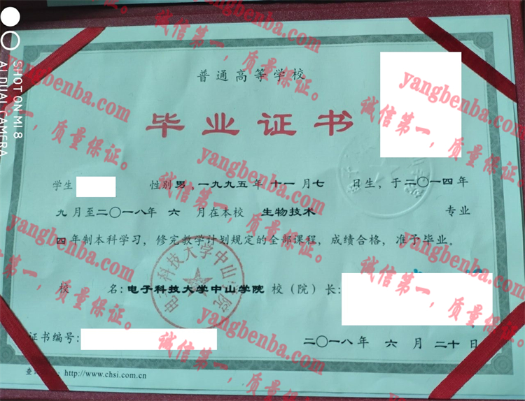 电子科技大学毕业证样本