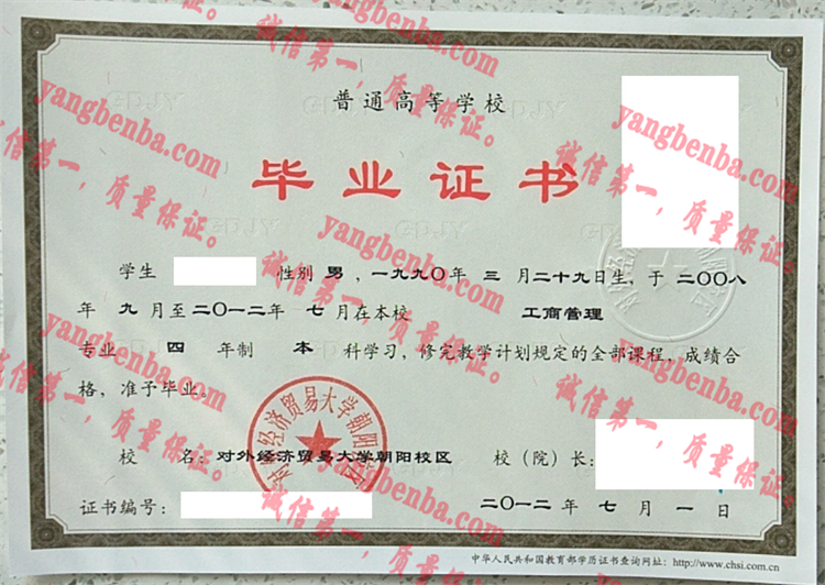 对外经济贸易大学毕业证样本