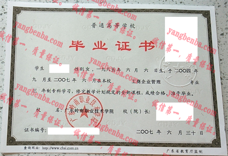 广东岭南职业技术学院毕业证样本